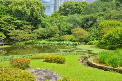 DSC_3349 (Large).JPG